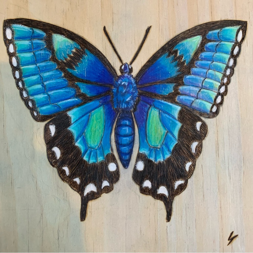 Pyrography butterfly